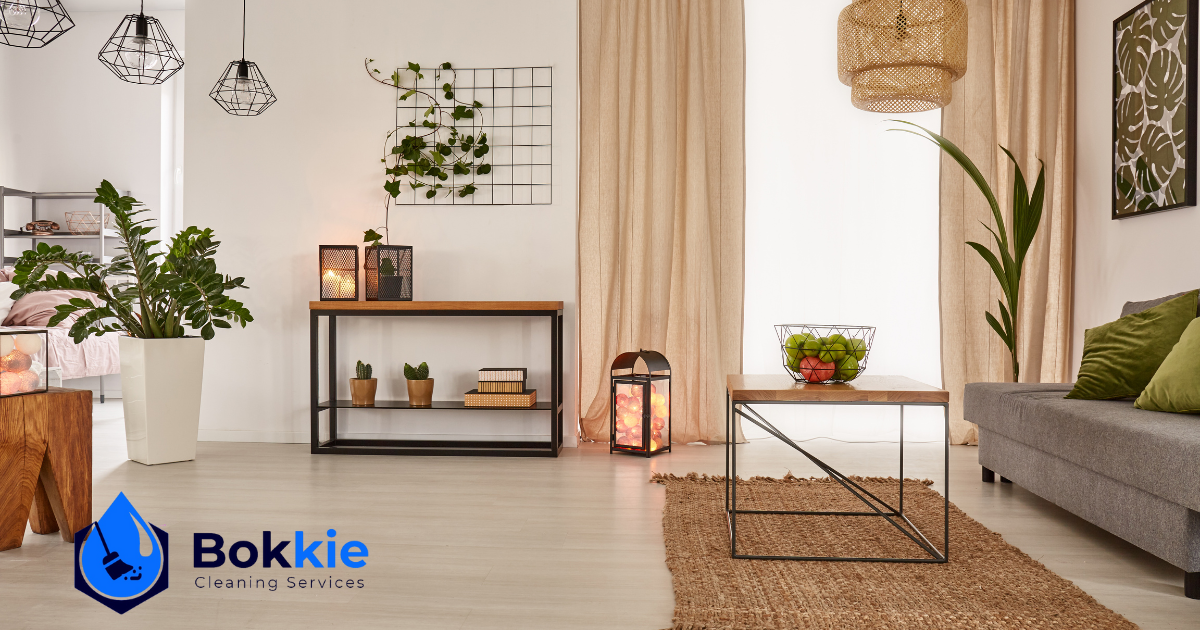 professional cleaners